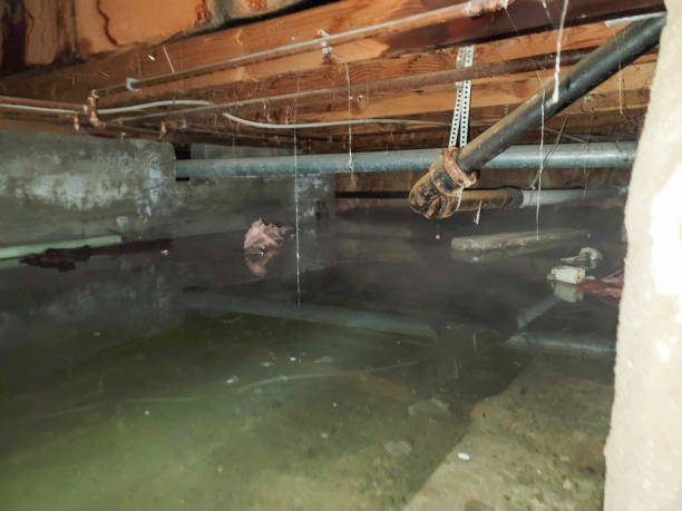 Best Emergency water damage restoration  in Litchfield, MN