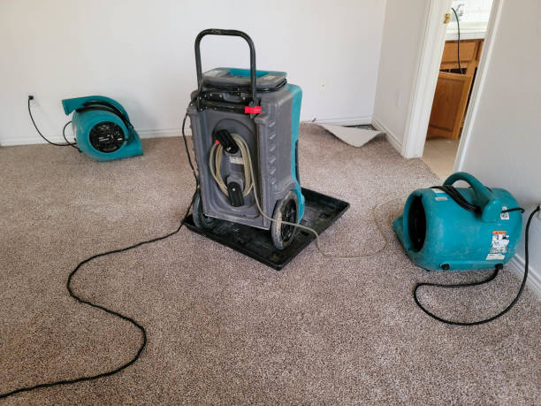 Best Flood damage cleanup  in Litchfield, MN