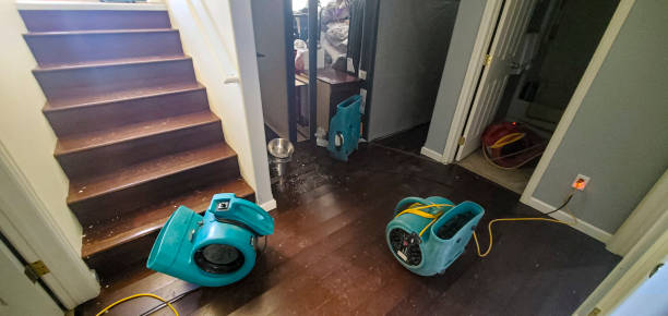 Reliable Litchfield, MN Water damage restoration Solutions
