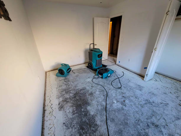 Best Water damage restoration near me  in Litchfield, MN