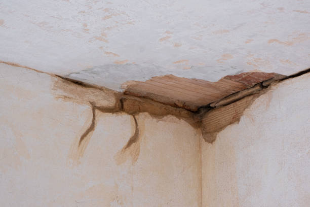 Best Sewage cleanup and water damage restoration  in Litchfield, MN