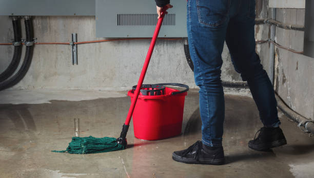 Best Water damage cleanup near me  in Litchfield, MN