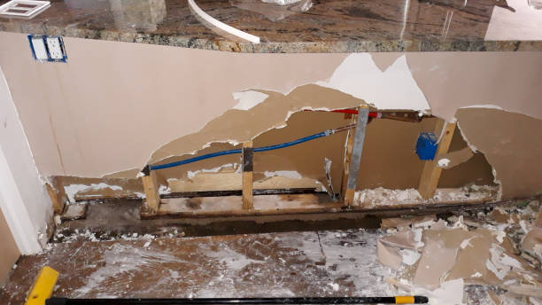 Best Flooded house restoration  in Litchfield, MN