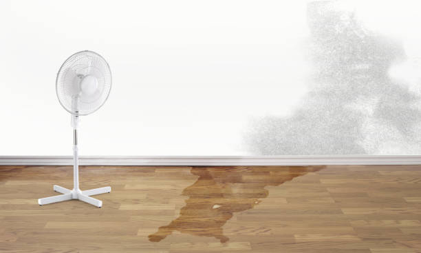  Litchfield, MN Water damage restoration Pros