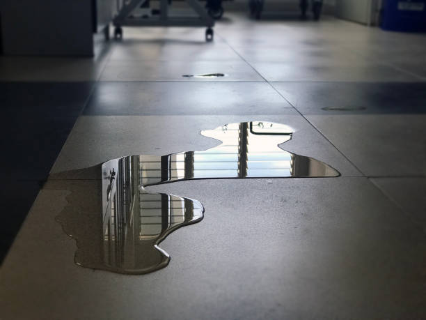 Best Carpet water damage restoration  in Litchfield, MN