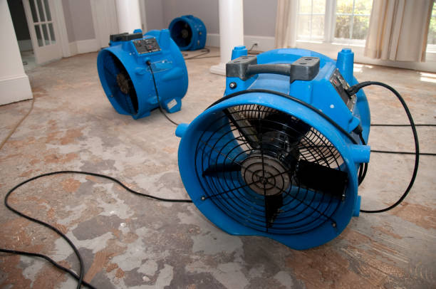 Best Local water damage restoration  in Litchfield, MN