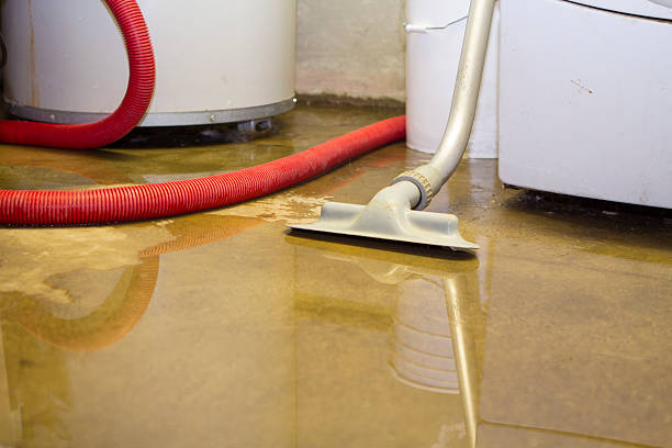 Best Water damage restoration services  in Litchfield, MN