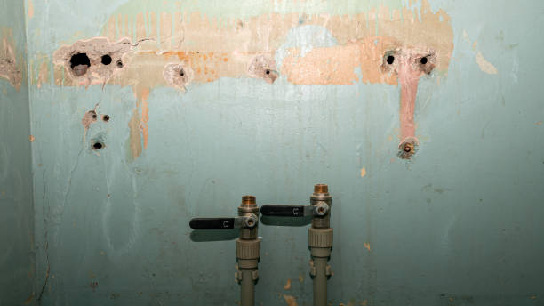 Water damage restoration experts in Litchfield, MN