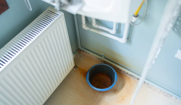 Water damage restoration insurance claims in Litchfield, MN