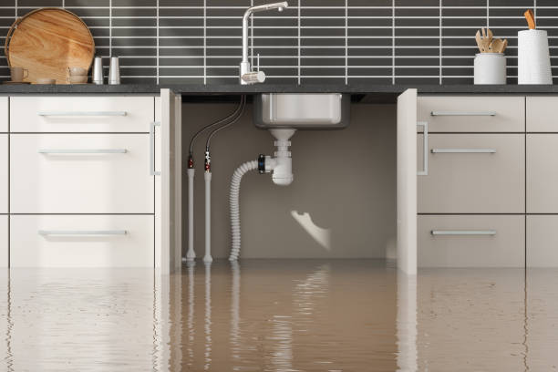 Best Flood restoration services  in Litchfield, MN