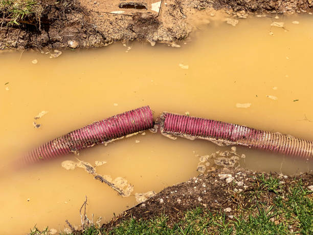 Best Water damage restoration near me  in Litchfield, MN