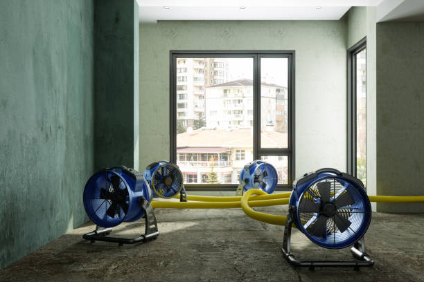 Best Water damage mitigation services  in Litchfield, MN